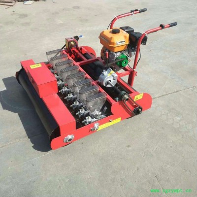 农康5行 蔬菜播种机 新款小粒播种机 多功能手推式蔬菜播种机 汽油电动中药材精播机