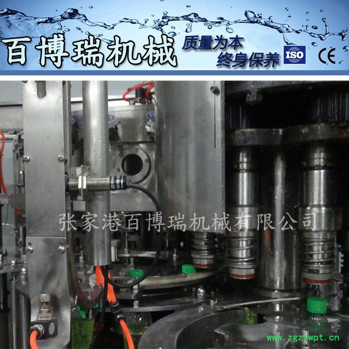 百博瑞碳酸饮料生产设备/饮料生产设备/气动液体灌装设备  灌装生产线  170250图3