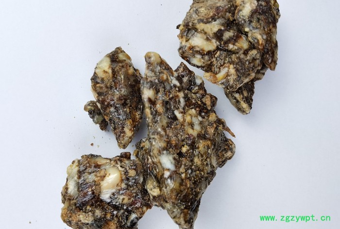 【金仕达进出口】安息香 中药材拙贝罗香 环保树脂 价格优惠 欢迎来电咨询图4