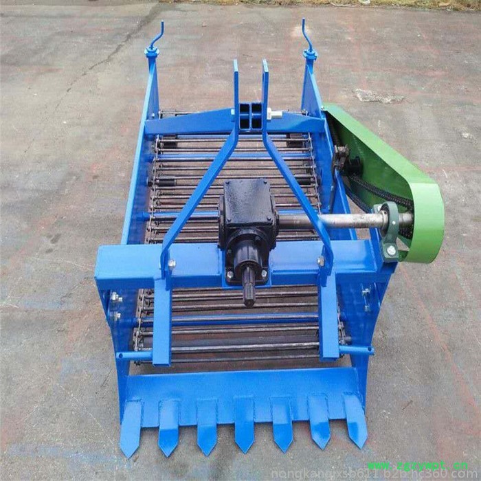 红薯收获机图片挖红薯的机器 红薯收获机图片 双行红薯杀秧机 起中药材的机器图2