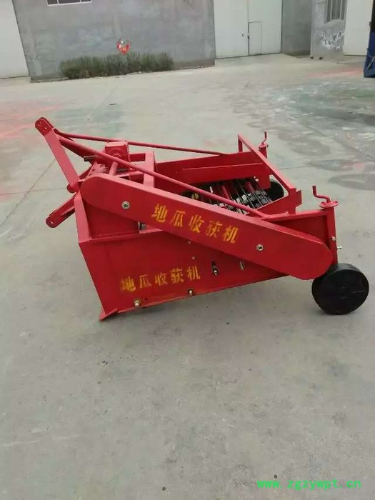 红薯收获机图片挖红薯的机器 红薯收获机图片 双行红薯杀秧机 起中药材的机器图3