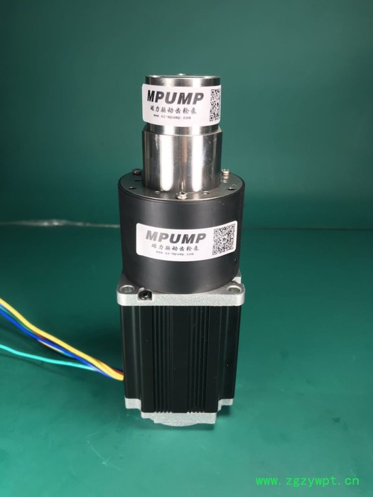 朋浦PP312CW面膜机灌装齿轮泵 不锈钢齿轮泵 液体灌装泵 水泵 泵 面膜灌装机齿轮泵图4