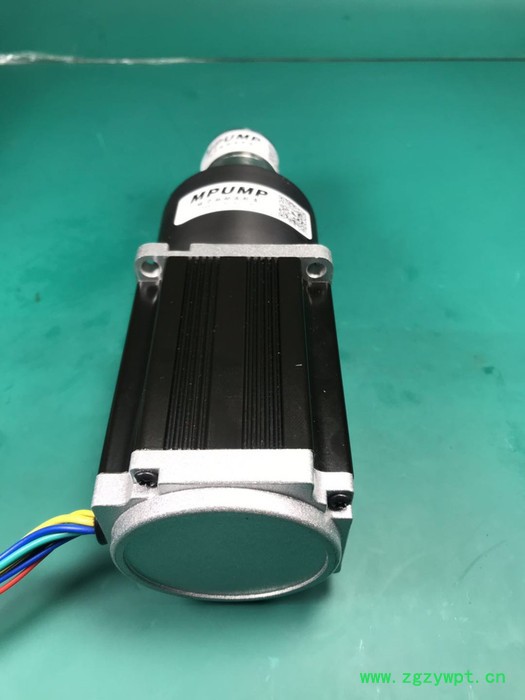 朋浦PP312CW面膜机灌装齿轮泵 不锈钢齿轮泵 液体灌装泵 水泵 泵 面膜灌装机齿轮泵图2