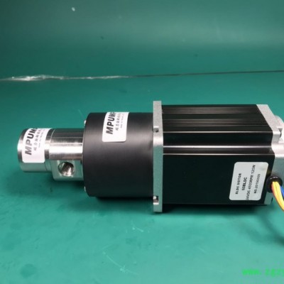 朋浦PP312CW面膜机灌装齿轮泵 不锈钢齿轮泵 液体灌装泵 水泵 泵 面膜灌装机齿轮泵