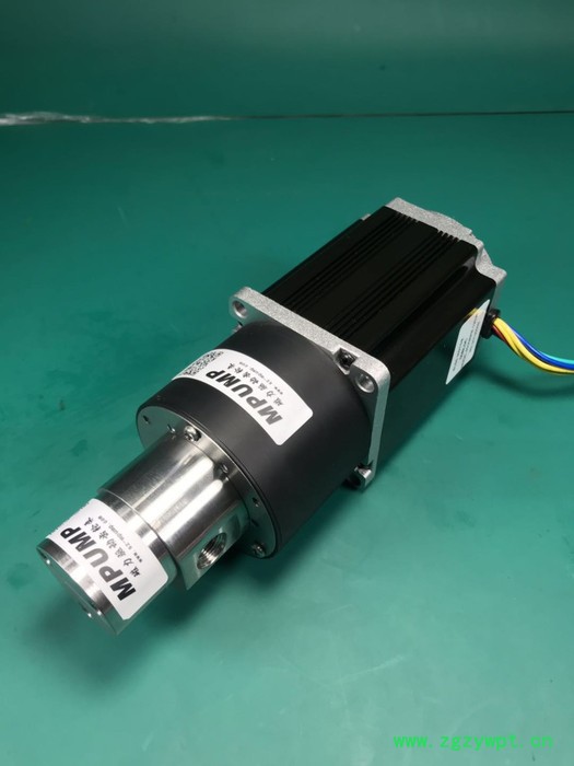 朋浦PP312CW面膜机灌装齿轮泵 不锈钢齿轮泵 液体灌装泵 水泵 泵 面膜灌装机齿轮泵图5