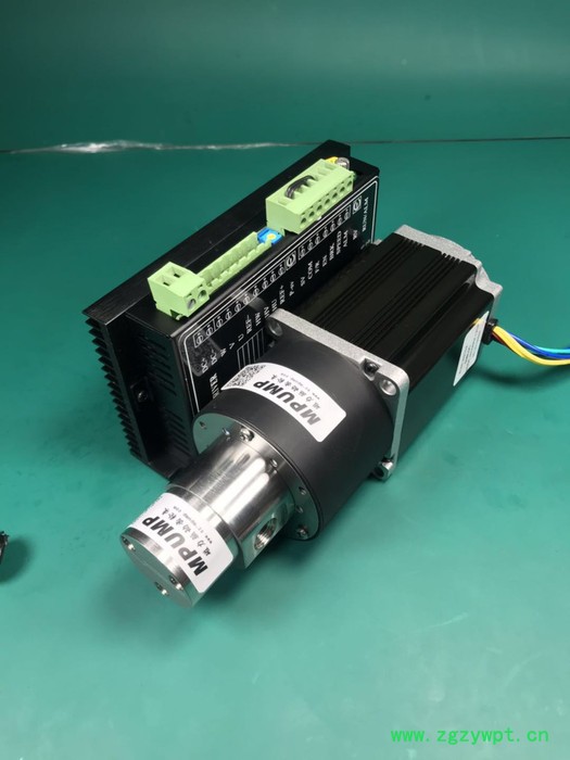 朋浦PP312CW面膜机灌装齿轮泵 不锈钢齿轮泵 液体灌装泵 水泵 泵 面膜灌装机齿轮泵图3