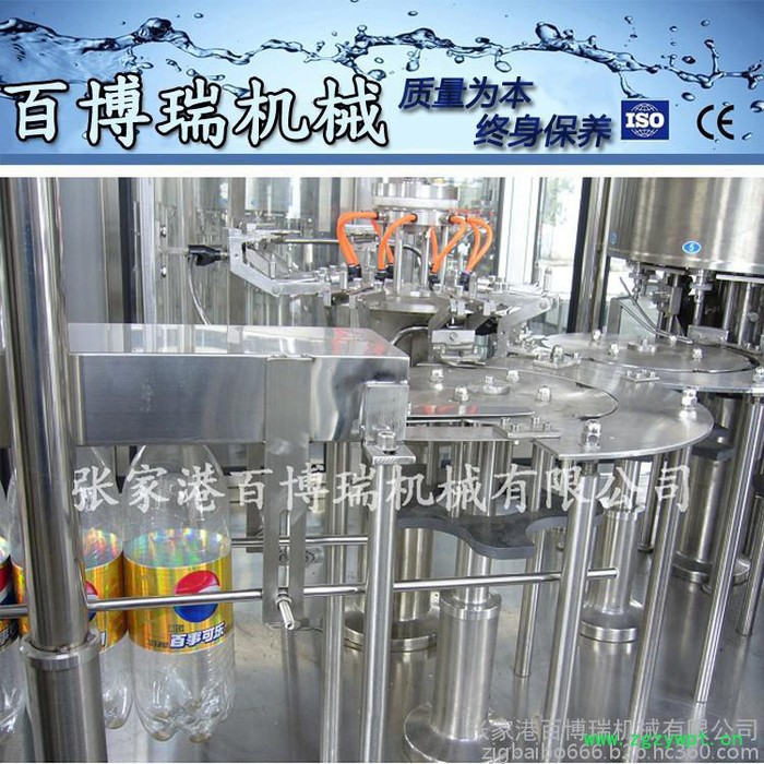 **百博瑞CGF8-8-3 型灌装机、灌装生产线-170014图6