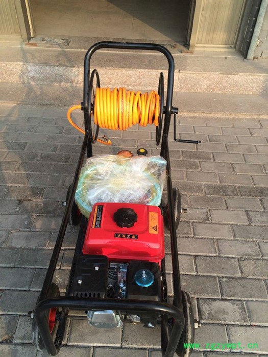 节能雾化打药车报价泰来县300L手推式打药车直连颗粒机 饲料颗粒机图6