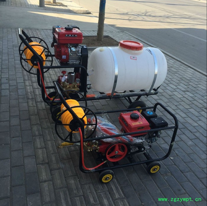 节能雾化打药车报价泰来县300L手推式打药车直连颗粒机 饲料颗粒机图7