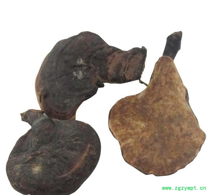 罗氏灵芝 新款热卖质量可靠 **草灵芝 直销 **中药材 灵芝图3