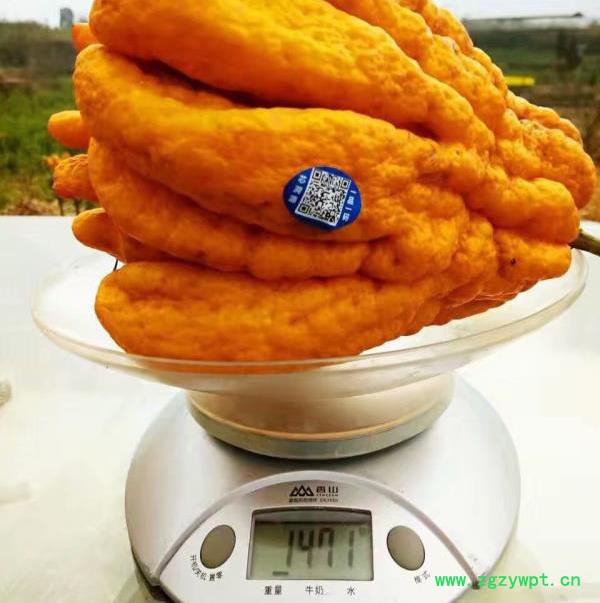 中药材佛手种苗出售佛手种植技术图2