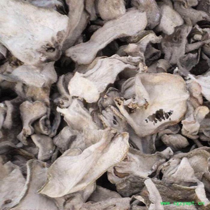 中药材佛手种苗出售佛手种植技术图6