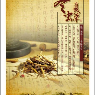 医院中药宣传挂图