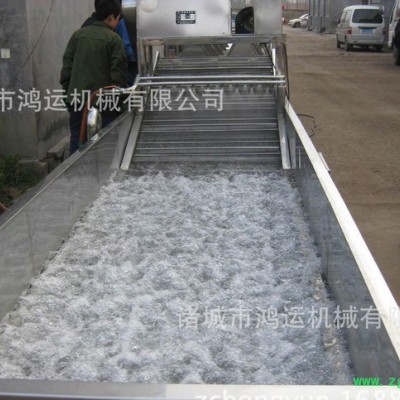 清洗机 中药材清洗机  高压喷淋清洗机 蔬菜气泡清洗机