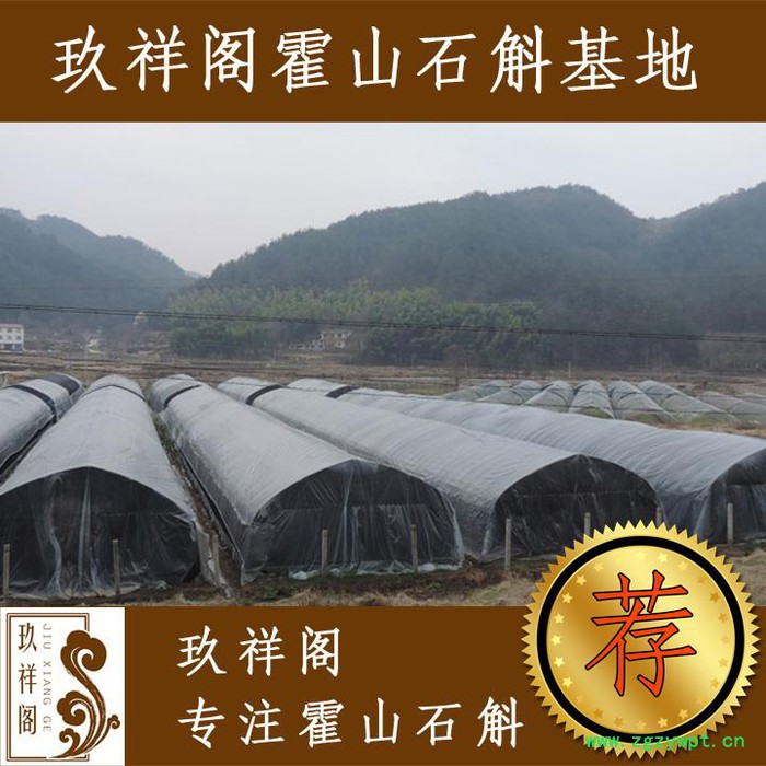 玖祥阁霍山铁皮石斛枫斗中药炮制