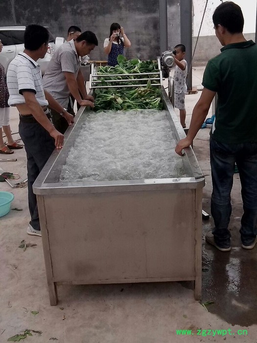 龙翔工贸lx-3000 中草药清洗机 中药草清洗机 农副作物清洗机 多功能清洗机图2