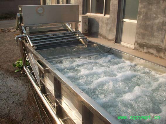 龙翔工贸lx-3000 中草药清洗机 中药草清洗机 农副作物清洗机 多功能清洗机图3