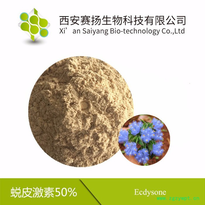 赛扬供应露水草提取物50%蜕皮激素中药材提取1公斤起批现货包邮图3