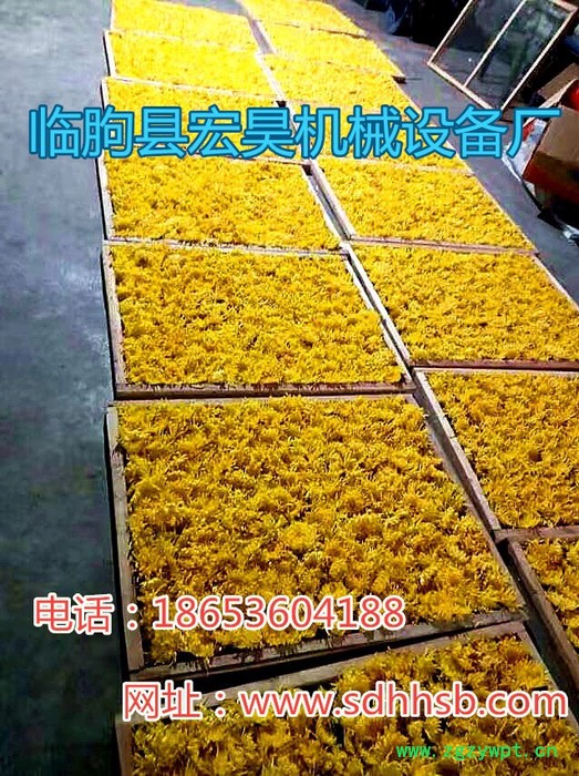 宏昊HH-1500 金丝皇菊 菊花烘干机 杭白菊烘干房 贵妃菊 金丝菊等中药材烘干设备 煤电两用 欢迎定制加工图8