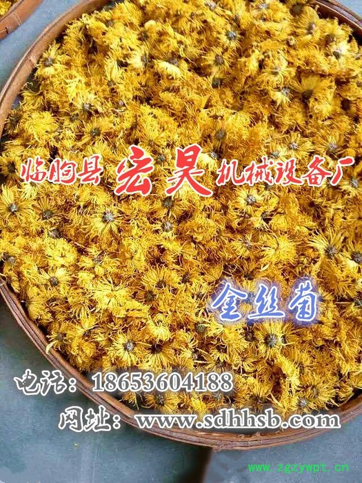 宏昊HH-1500 金丝皇菊 菊花烘干机 杭白菊烘干房 贵妃菊 金丝菊等中药材烘干设备 煤电两用 欢迎定制加工图4