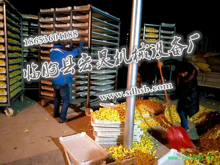 宏昊HH-1500 金丝皇菊 菊花烘干机 杭白菊烘干房 贵妃菊 金丝菊等中药材烘干设备 煤电两用 欢迎定制加工