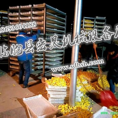 宏昊HH-1500 金丝皇菊 菊花烘干机 杭白菊烘干房 贵妃菊 金丝菊等中药材烘干设备 煤电两用 欢迎定制加工