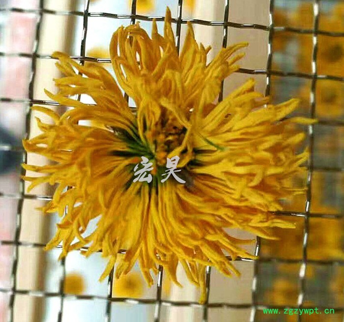 宏昊HH-1500 金丝皇菊 菊花烘干机 杭白菊烘干房 贵妃菊 金丝菊等中药材烘干设备 煤电两用 欢迎定制加工图5