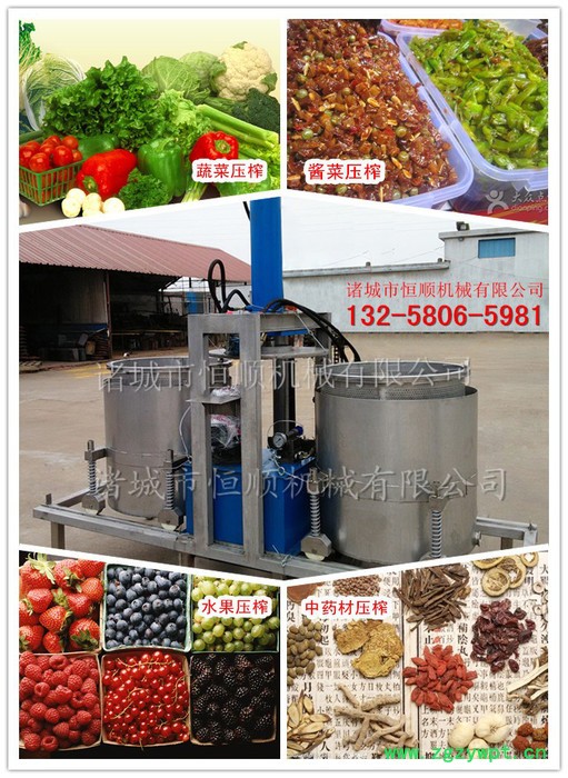 恒顺黄酒、米酒压榨机  中药渣压榨收汁机  双桶轮换式压榨机图4