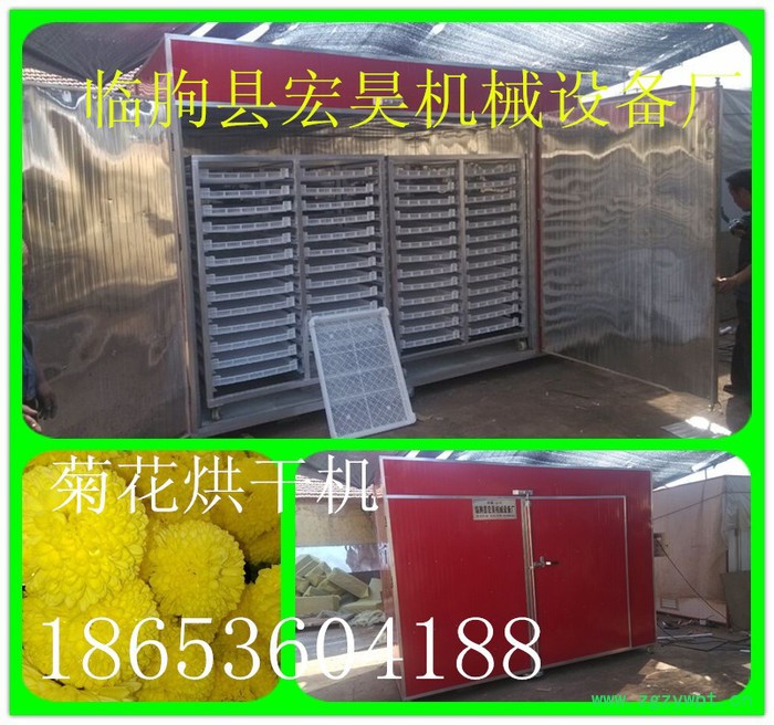 宏昊HH-600生产杭白菊烘干机 黄菊花烘干机 野菊花烘干机 中药材烘干机价格