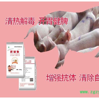 要想猪出栏早，育肥猪，减少成本就用纯中药提取-肥猪散-济南普罗现货供应