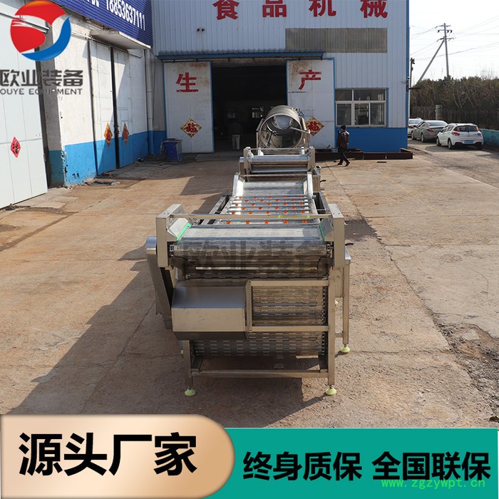 欧业 无药水核桃仁去皮机 连续性叶菜根茎类汽浴清洗机 中药材加工去泥清洗机 果蔬清洗风干生产线 重庆萝卜红薯土豆去皮清洗图4