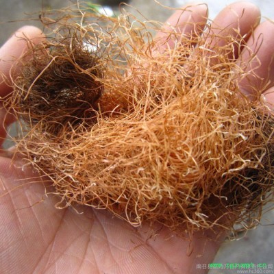 中药材 玉米须  深山农家玉米须茶  降*三*高 胆*囊*炎