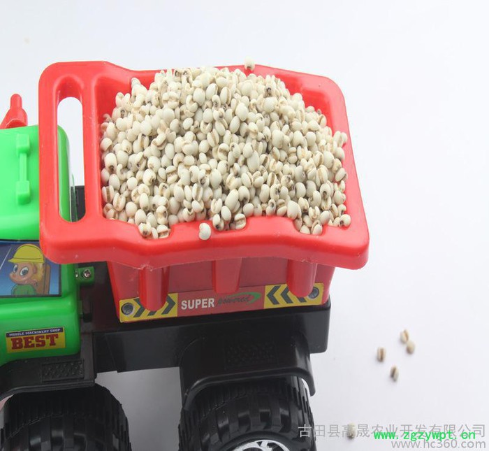 【古耳】薏米五谷杂粮 薏仁米 清热利湿 薏苡仁中药材图2