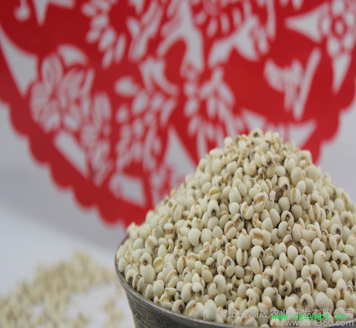 【古耳】薏米五谷杂粮 薏仁米 清热利湿 薏苡仁中药材图3