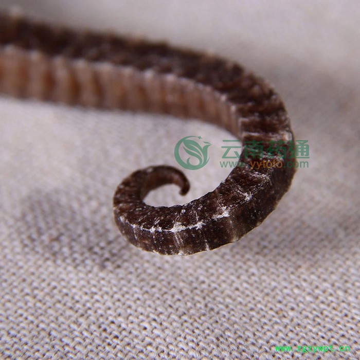 海马滋补品中药材泡酒料海马干货男性滋补品一对包邮发货每对5g