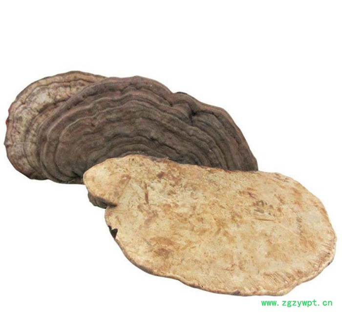 罗氏灵芝****海南平盖 价格优惠 祛风除湿 品质中药材 **中药材