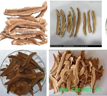 旭朗 中药切片机厂家图5