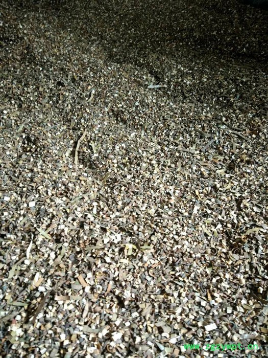 广西容县**中药 桂枝香料原生态保质保量 中药原料图4