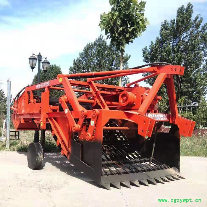 丰硕机械 4S型根茎挖掘机 中药材收获机河南**图2