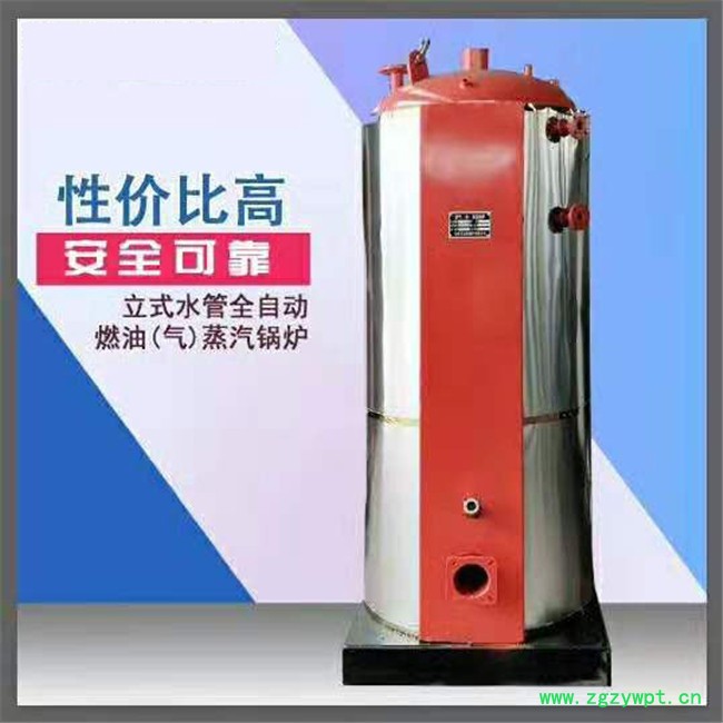 中药店中药蒸煮机械强度高 燃气蒸汽锅炉图2