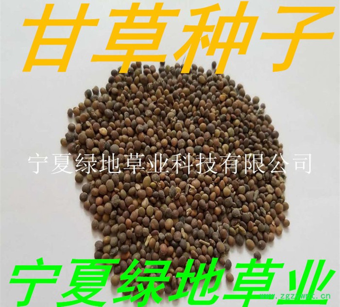 批发中药材种子【红皮甘草种子】新货 量大从优 药用价值图5