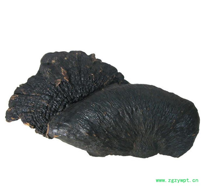 罗氏灵芝直销中药材 祛风除湿 **精选薄树芝 **补品图3