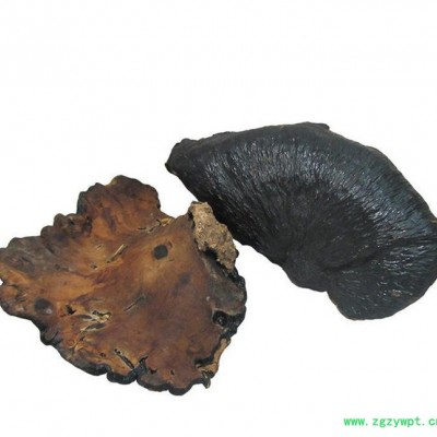 罗氏灵芝直销中药材 祛风除湿 **精选薄树芝 **补品