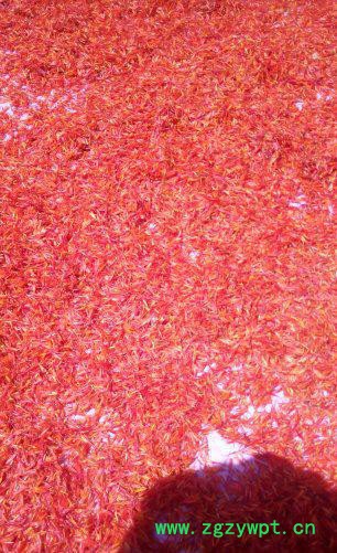 特色农业中药材特色农产品红花，生态绿色无公害红花图3