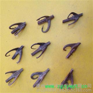 钩藤、中药材、鲜钩藤、中药材钩藤、钩藤苗图7