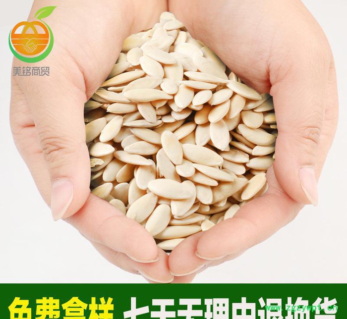 直销 散装黄瓜籽 中药材 五谷原料 可打粉图2