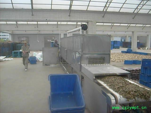 供应宁远LQ-20微波中药饮片杀虫设备图2