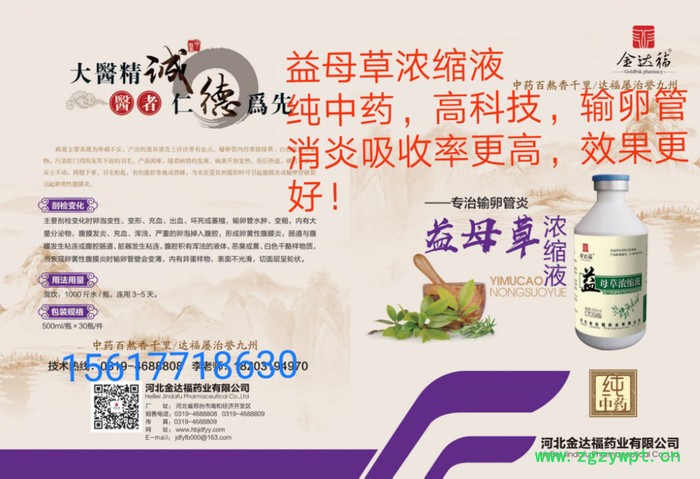 输卵管消炎用河北金达福纯中药的益母草浓缩液 纯中药输卵管消炎不掉蛋无药残图4