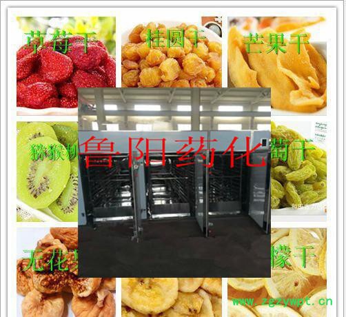 CT－C系列热风循环烘箱可低温烘干中药材，瓜果蔬菜均可烘干图3
