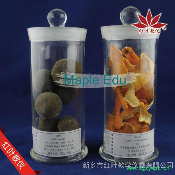 中药生药标本 个子药 标本馆建设图3